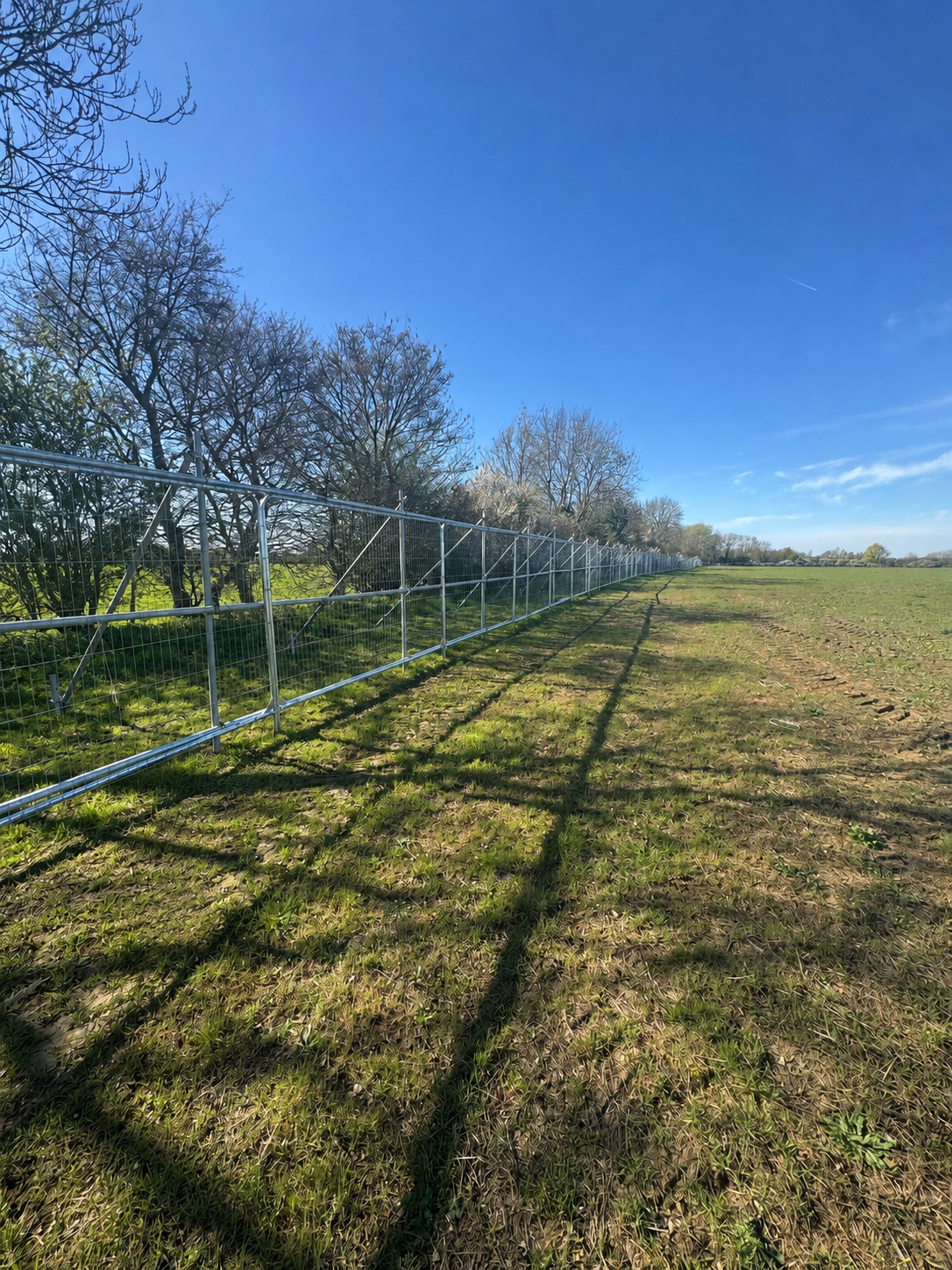 Galvanised mesh fencing running across an open field for tree protection