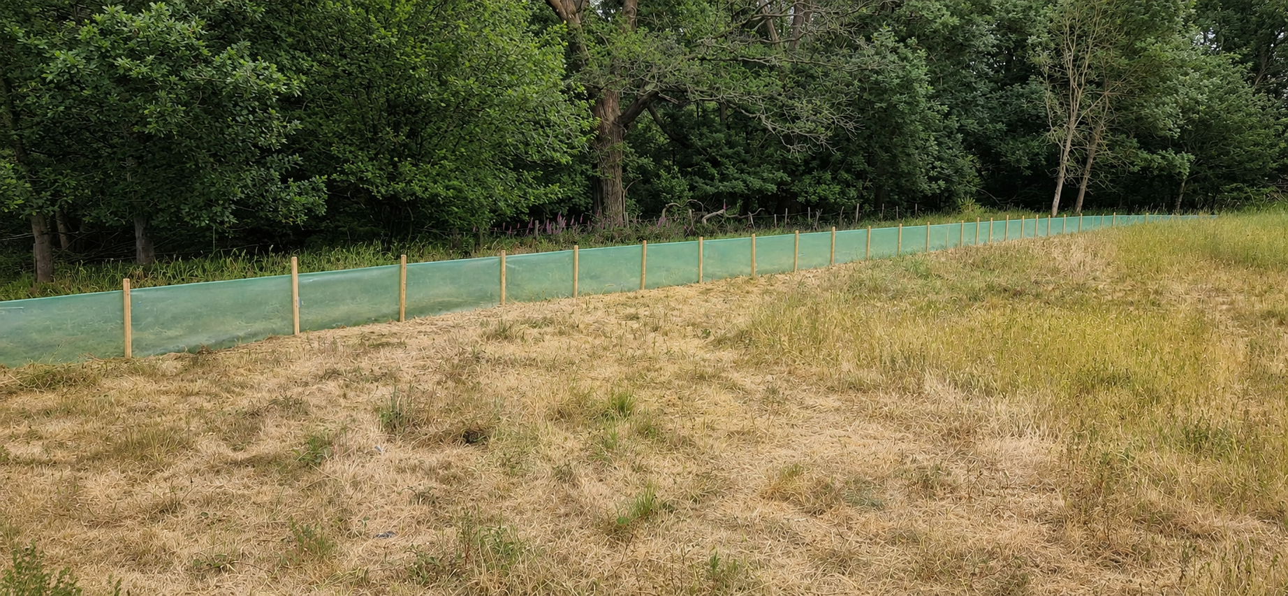 Green silt and newt exclusion fencing on timber posts running along a grass field boundary in front of trees